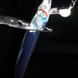 人が多い人工島